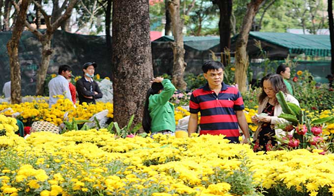 Ho Chi Minh city to have 131 Spring flower markets