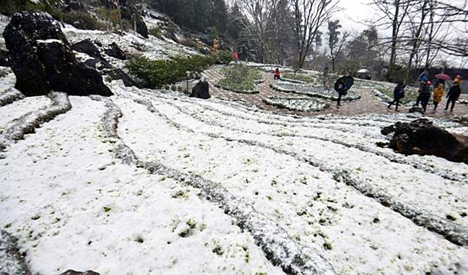Snowfall draws over 10,000 visitors to Sa Pa