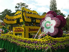 Da Lat ready to welcome visitors to tourism week