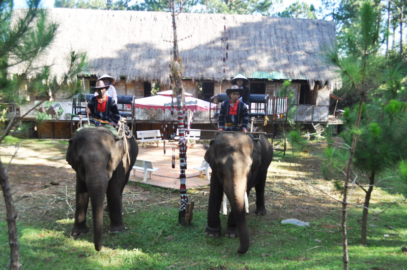 Khu du lịch Đồi Mộng Mơ có thêm dịch vụ cưỡi voi