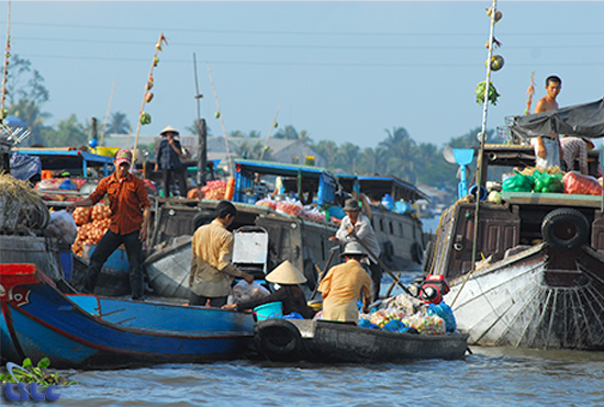 Mekong delta provinces cooperate to promote tourism 