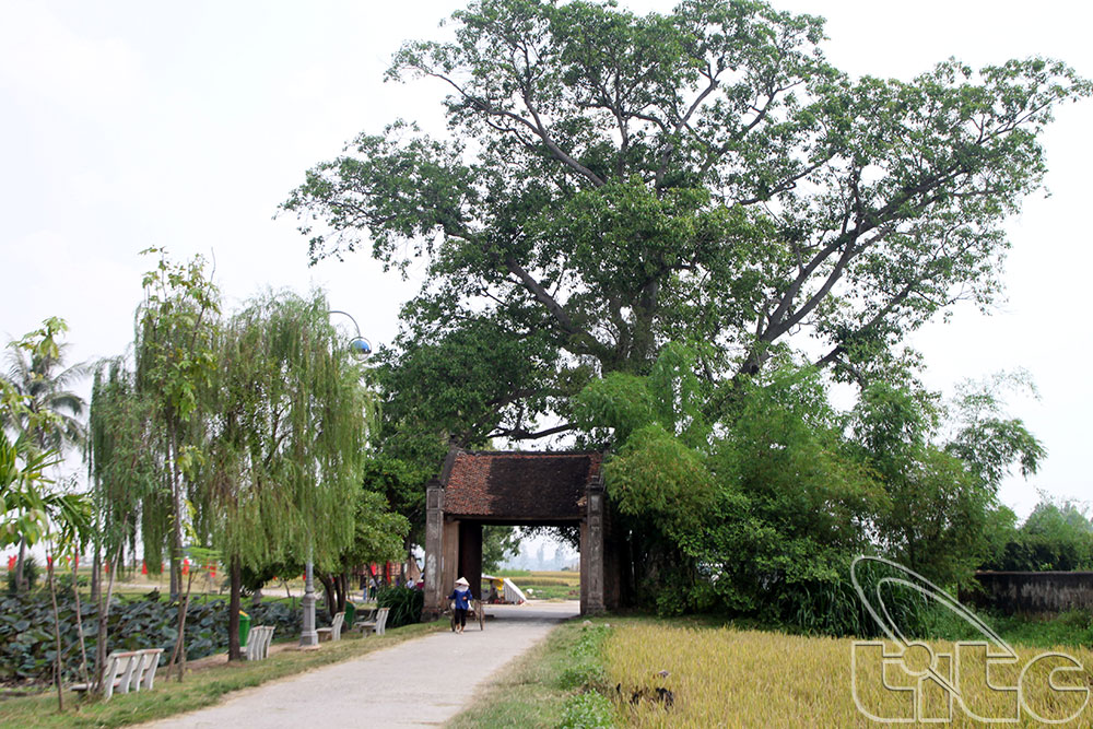Gắn kết vai trò của cộng đồng trong gìn giữ di sản làng cổ Đường Lâm