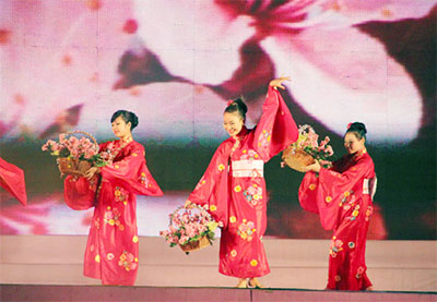 Second cherry blossom festival to take place in Quang Ninh province in March