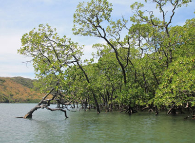 Vườn quốc gia Côn Đảo được công nhận là khu đất ngập nước quan trọng quốc tế