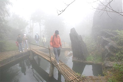 Mist in Ham Rong Mount