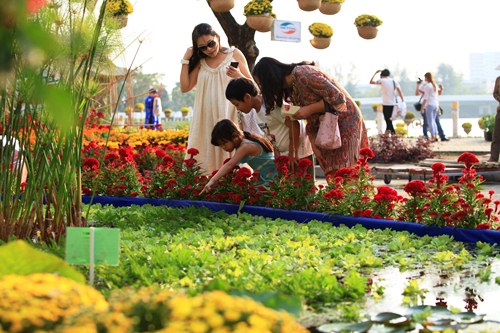 Khai mạc Hội chợ hoa xuân “Hoa đồng cỏ nội” tại TP. Hồ Chí Minh