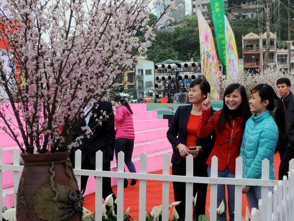 Khai mạc Lễ hội Hoa anh đào Hạ Long năm 2014