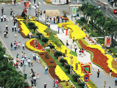 Đường hoa TP. Hồ Chí Minh được phủ sóng wifi