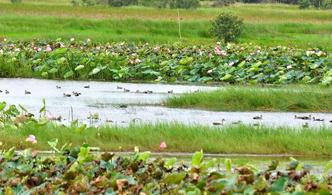 Lang Sen reserve gets Ramsar recognition 