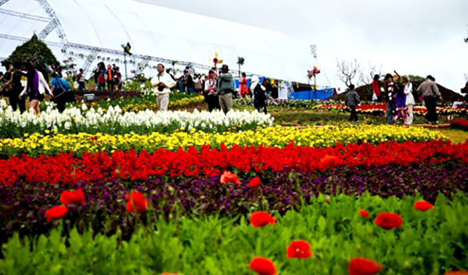Đà Lạt "trải thảm đỏ" đón du khách dự Festival hoa