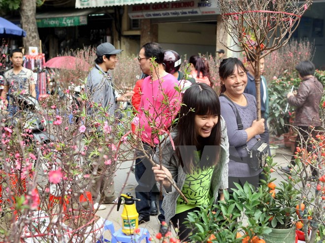 Ha Noi to host 49 spring flower fairs ahead of Tet