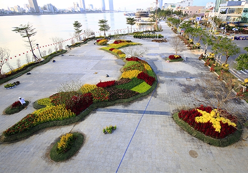  Ngắm bản đồ Việt Nam bằng hoa lớn nhất bên sông Hàn