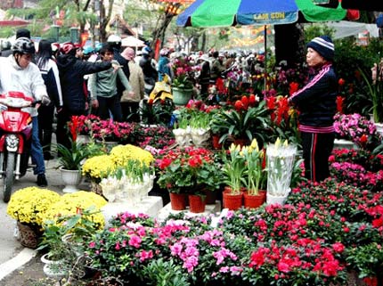 Hà Nội, TP. HCM tổ chức 177 chợ hoa Xuân