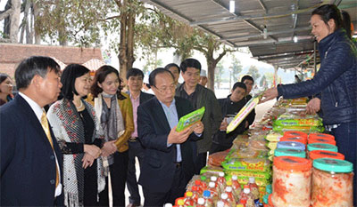 Minister Hoang Tuan Anh inspects festival organization in Vinh Phuc province