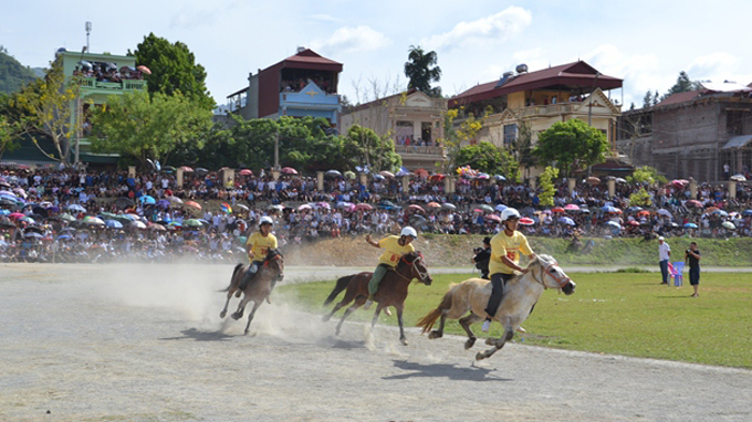 Horse race as highlight of cultural week in Lao Cai
