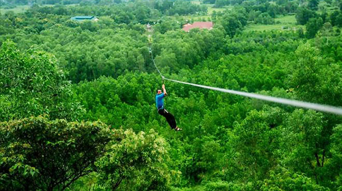 Trò trượt zipline trong rừng và thưởng trà Bảo Lộc (Lâm Đồng)