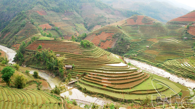 Ruộng bậc thang Việt Nam trong top cảnh quan siêu thực nhất thế giới