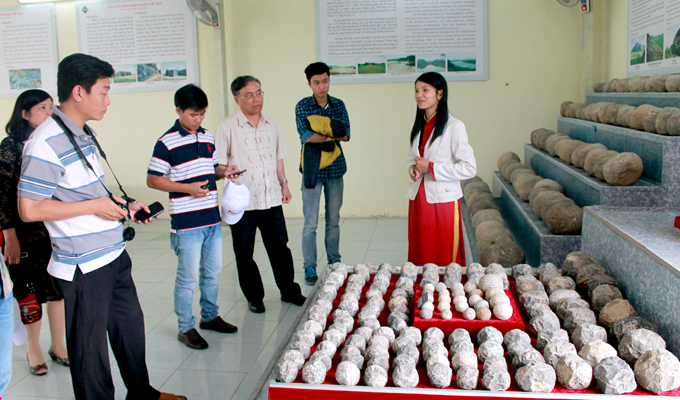 Découverte d'objets importants dans la citadelle des Hô à Thanh Hoa