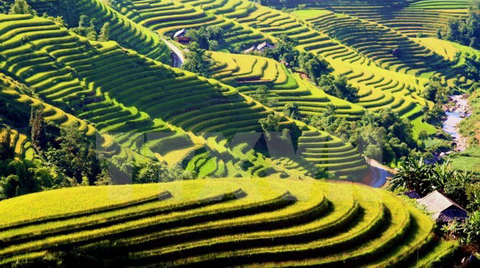 Cultural event spotlights Ha Giang’s terraced paddy fields