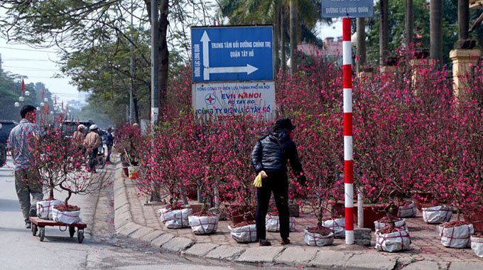 Phủ sóng wifi trên nhiều đường hoa, chợ hoa trong dịp Tết Nguyên Đán 2016