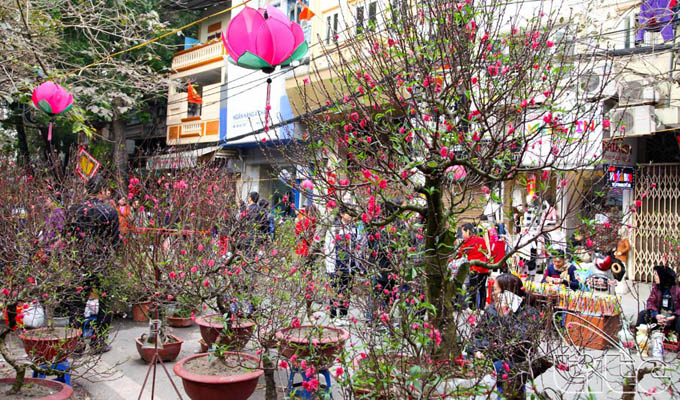 Hang Luoc Flower Market