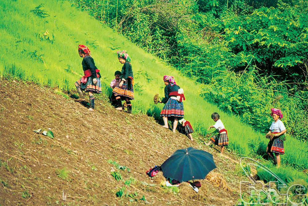 Lai Chau tourism-culture week to be opened