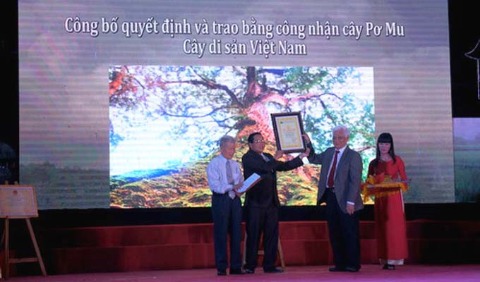 Quảng Nam khởi động Năm du lịch Tây Giang 2016