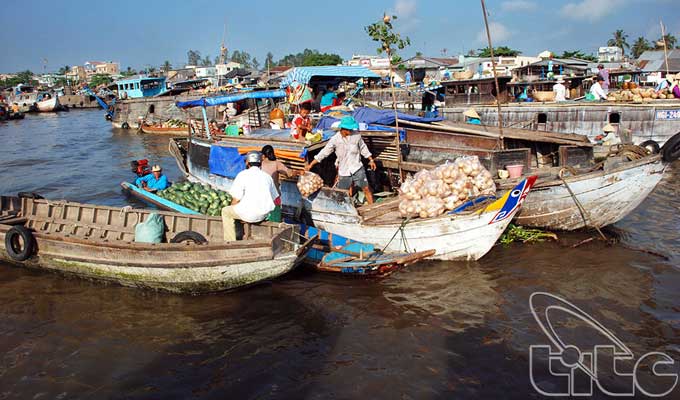 Can Tho works to develop Cai Rang Floating Market