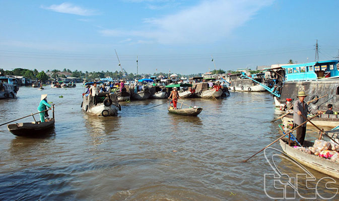 Can Tho to host Cai Rang Floating Market Festival
