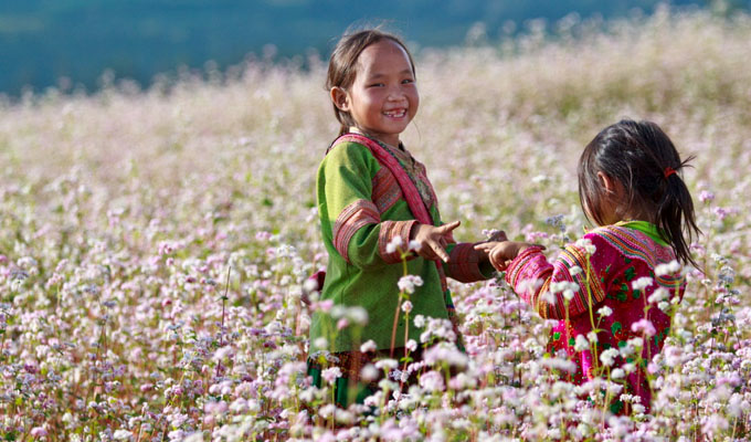 Ha Giang accueille le Festival des fleurs de sarrasins et la 2e Fête nationale de la culture des ethnies H’Mong 2016