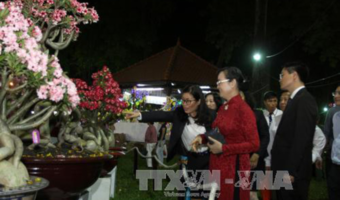Spring flower festival opens in Ho Chi Minh City to welcome New Year