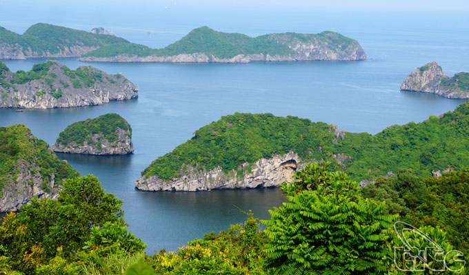 Discovering the beauty of Cat Ba Archipelago
