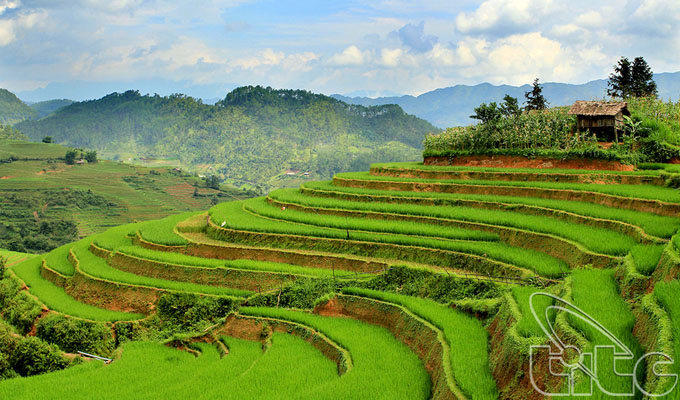 La splendeur des rizières en terrasse de Mù Cang Chai