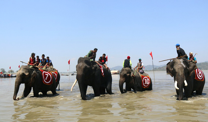 Tưng bừng lễ hội đua voi và thuyền độc mộc