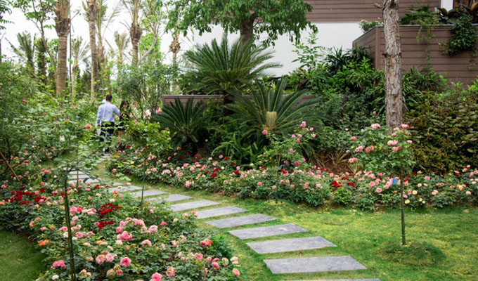 “Kingdom of roses” in Flamingo Dai Lai Resort