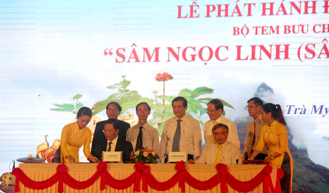 Quảng Nam lần đầu tiên tổ chức lễ hội quảng bá sâm núi Ngọc Linh