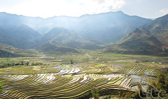 Rice terraces stun visitors to northern mountainous region