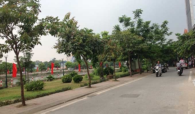 Ha Noi to turn Trinh Cong Son street into walking zone