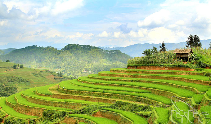 Viet Nam named among 20 most beautiful countries