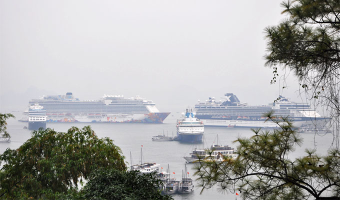 Four international cruise ships bring over 6,000 tourists to Ha Long