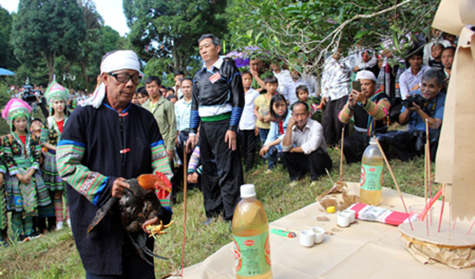 Lễ hội tôn vinh cây chè tổ Suối Giàng ở Yên Bái