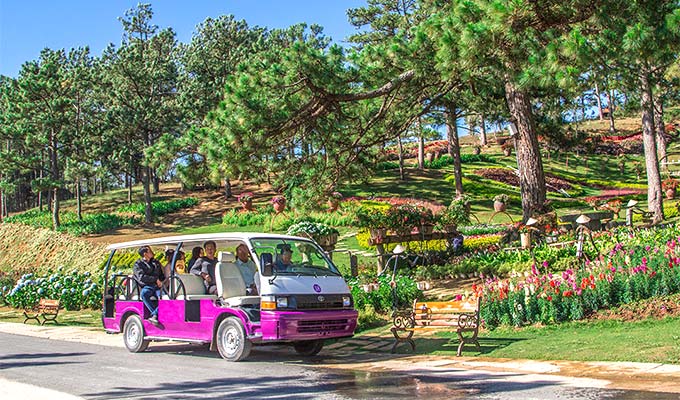 Electric car service for tourists to be launched in Da Lat