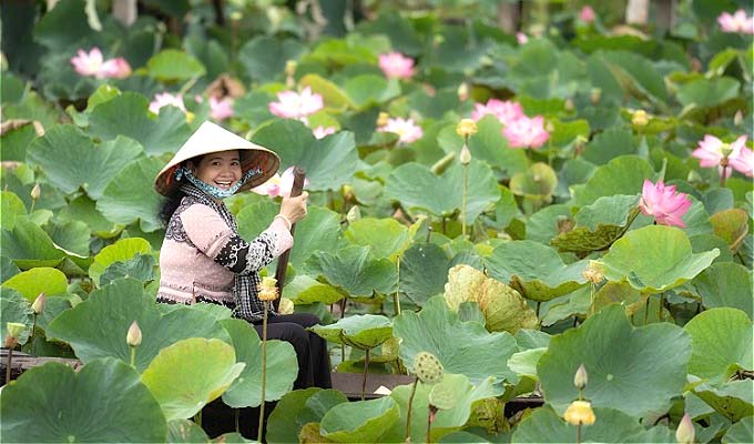 Explore Dong Thap, land of the lotus, for just $20