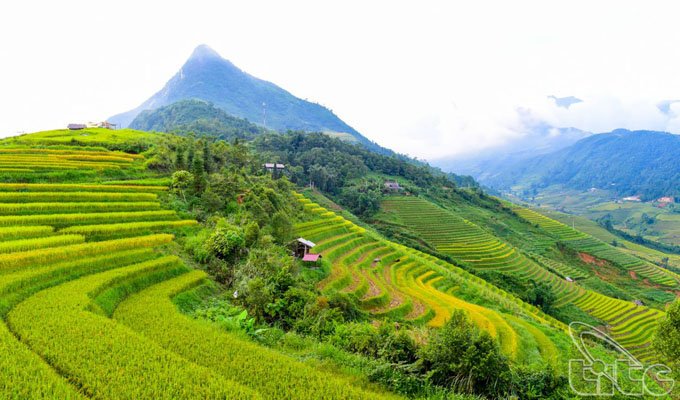 Two destinations in Viet Nam rated among the best places in Southeast Asia