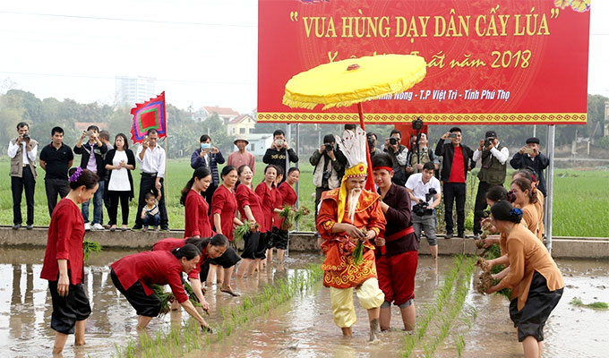 Festival commemorates Hung Kings’ teaching of rice cultivation