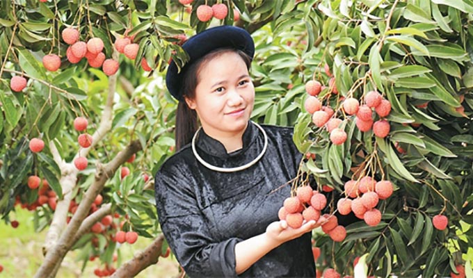 Bắc Giang liên kết phát triển sản phẩm du lịch Tây Yên Tử gắn với vùng cây ăn quả huyện Lục Ngạn
