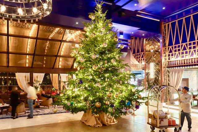 Trưng bày cây thông Noel đắt nhất thế giới trị giá gần 350 tỷ mừng Giáng sinh 