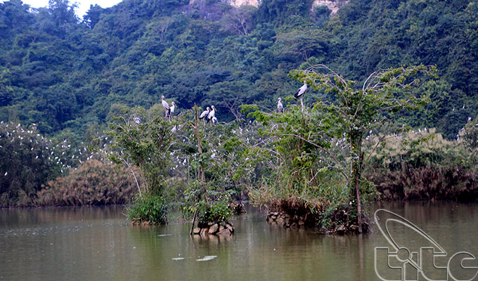 Thung Nham ecotourist site - a fairyland of Ninh Binh