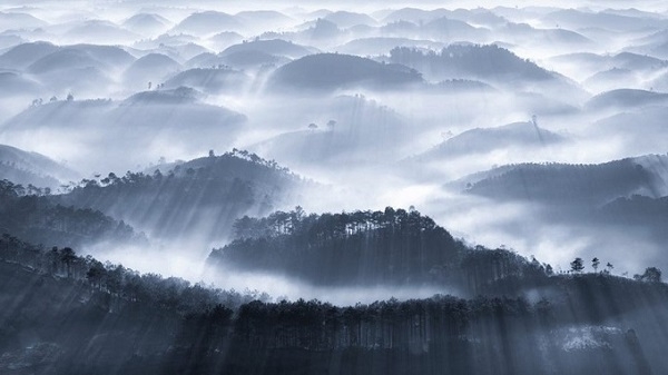 Photos of Vietnam’s natural landscapes listed in world's best nature shots by Agora
