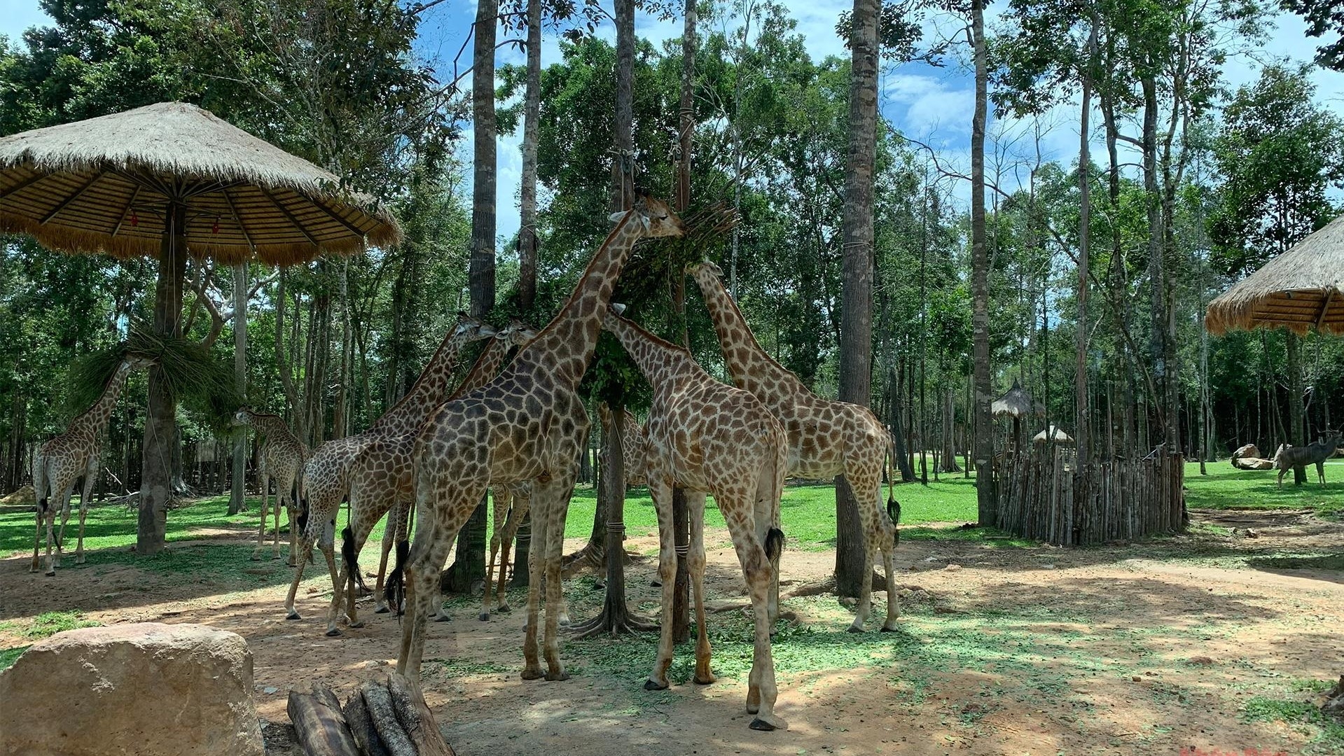 Great experiences in wildlife park on Phu Quoc Island